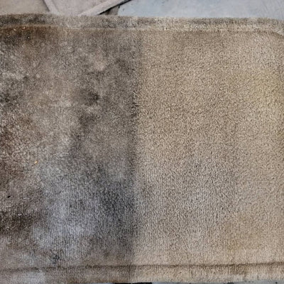 Carpet & Upholstery