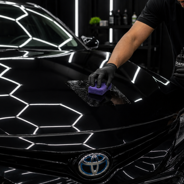 6. Paint Protection