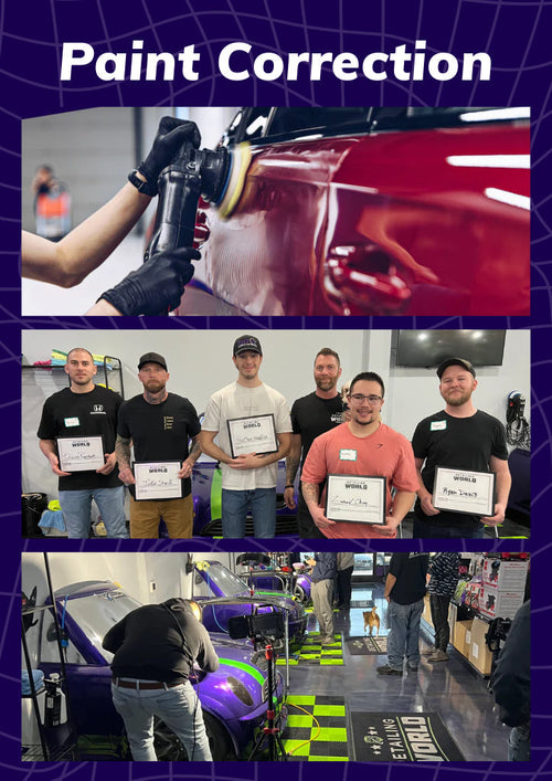 One-on-One Paint Correction Training